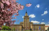 Туры в отель Grand Hotel International