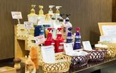 Туры в отель KOKO HOTEL Nagoya Marunouchi