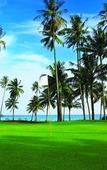 Туры в отель HOMM Laguna Bintan
