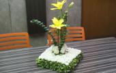 Туры в отель Holiday Inn Guayaquil Airport by IHG