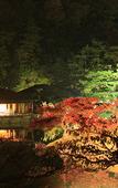 Туры в отель Daiwa Roynet Hotel Takamatsu