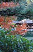 Туры в отель Daiwa Roynet Hotel Takamatsu