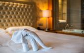 Туры в отель Binjiang International Hotel