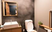 Туры в отель Relax Hotel Takayama Station