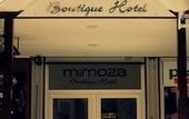 Туры в отель Mimoza Hotel