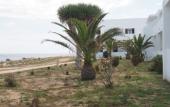 Туры в отель Hotel Roca Bella