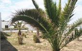 Туры в отель Hotel Roca Bella