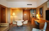 Туры в отель TRYP by Wyndham Izmit