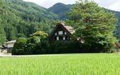 Туры в отель Onyado Yuinosho