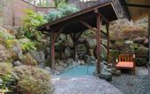 Туры в отель Ajisai Onsen Ryokan - Award Winning Private Open Air Onsen Hakone