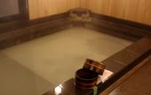 Туры в отель Ajisai Onsen Ryokan - Award Winning Private Open Air Onsen Hakone