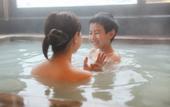 Туры в отель Ajisai Onsen Ryokan - Award Winning Private Open Air Onsen Hakone