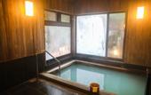 Туры в отель Ajisai Onsen Ryokan - Award Winning Private Open Air Onsen Hakone