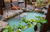 Туры в отель Ajisai Onsen Ryokan - Award Winning Private Open Air Onsen Hakone