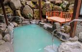 Туры в отель Ajisai Onsen Ryokan - Award Winning Private Open Air Onsen Hakone