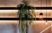 Туры в отель Relais Chiaramonte