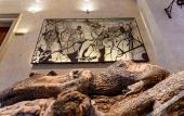 Туры в отель Pollicastro Boutique Hotel