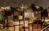 Туры в отель Pollicastro Boutique Hotel