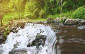 Туры в отель Grand Aston Puncak Hotel & Resort
