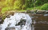 Туры в отель Grand Aston Puncak Hotel & Resort