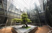Туры в отель Aerotel Airport Hotel (Qingdao Jiaodong International Airoprt)