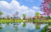 Туры в отель Home2 Suites By Hilton Huishan Wuxi