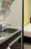 Туры в отель MIRO KYOTO NIJO HOTEL