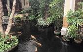 Туры в отель Meet Holiday Hotel