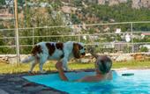 Туры в отель Z-Villas Beach Hotel