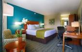 Туры в отель Palm Tree Club Miami Hotel