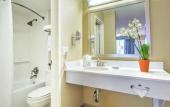 Туры в отель Palm Tree Club Miami Hotel