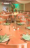 Туры в отель Holiday Inn & Suites Orlando SW - Celebration Area by IHG