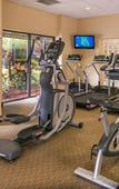 Туры в отель Holiday Inn & Suites Orlando SW - Celebration Area by IHG