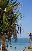 Туры в отель Grand Mercure Okinawa Cape Zanpa Resort