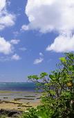 Туры в отель Grand Mercure Okinawa Cape Zanpa Resort