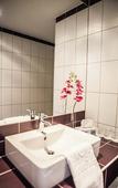 Туры в отель elaya hotel vienna city west, Trademark by Wyndham