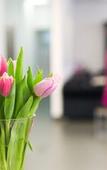 Туры в отель elaya hotel vienna city west, Trademark by Wyndham
