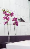 Туры в отель elaya hotel vienna city west, Trademark by Wyndham