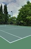 Туры в отель Crowne Plaza Toronto North York by IHG