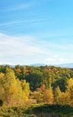 Туры в отель DoubleTree by Hilton Burlington Vermont