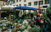 Туры в отель Scandic Stuttgart Europaviertel (Neueroffnung/Reopening)