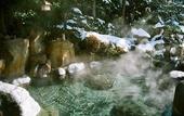 Туры в отель Yunoshimakan