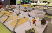 Туры в отель ACHAT Hotel Bremen City