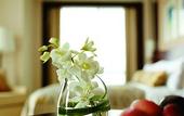 Туры в отель YUEHUA HOTEL,XIAMEN SEASIDE