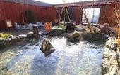 Туры в отель Dormy Inn Hirosaki Natural Hot Spring