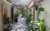 Туры в отель Scallywags Resort