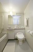 Туры в отель Mercure Nagano Matsushiro Resort & Spa