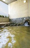 Туры в отель Mercure Nagano Matsushiro Resort & Spa