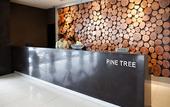 Туры в отель Pinetree Hotel