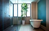 Туры в отель Pinetree Hotel